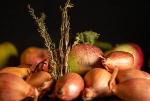 Foraging in the autumn garden